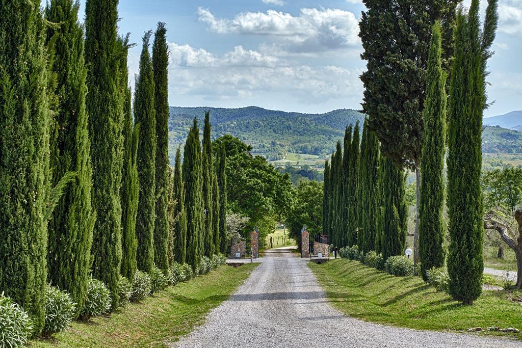 Вилла Il Convento Di Monte Pozzali Масса-Мариттима Экстерьер фото